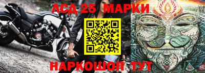 прущие грибы Камышлов