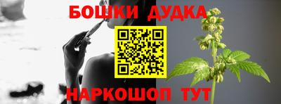 крисы Канаш