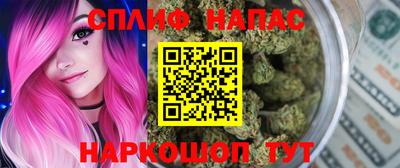 крисы Канаш