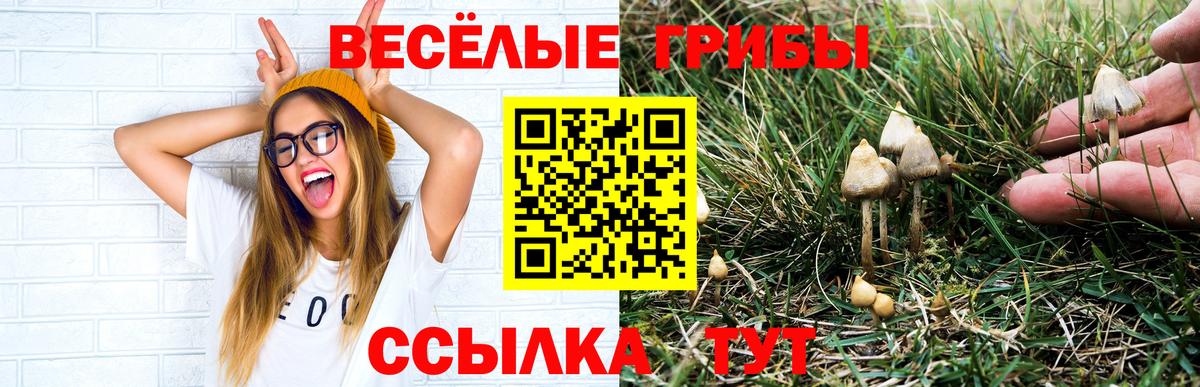 ГАШИШ  Экстази  НБОМе  Ленинск-Кузнецкий  Вход с VPN  COCAIN  Каннабис  МЕФ  