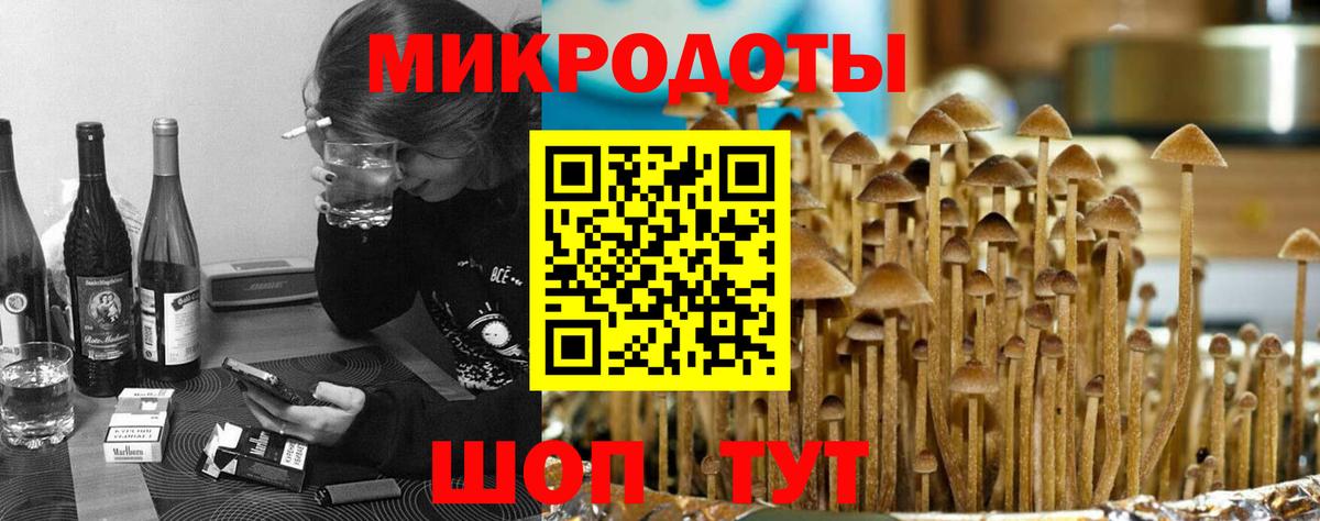 Галлюциногенные грибы мицелий Ленинск-Кузнецкий