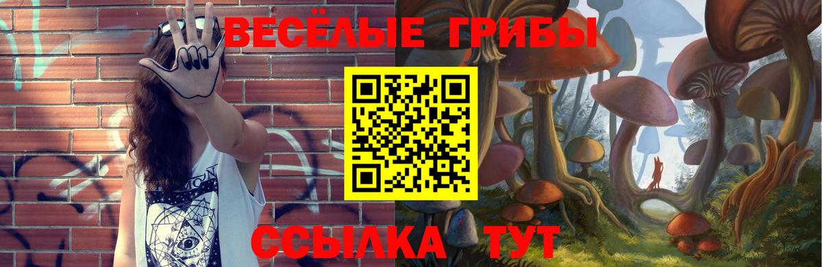 Галлюциногенные грибы ЛСД  Вход с VPN  Псилоцибиновые грибы Cubensis  Ленинск-Кузнецкий 