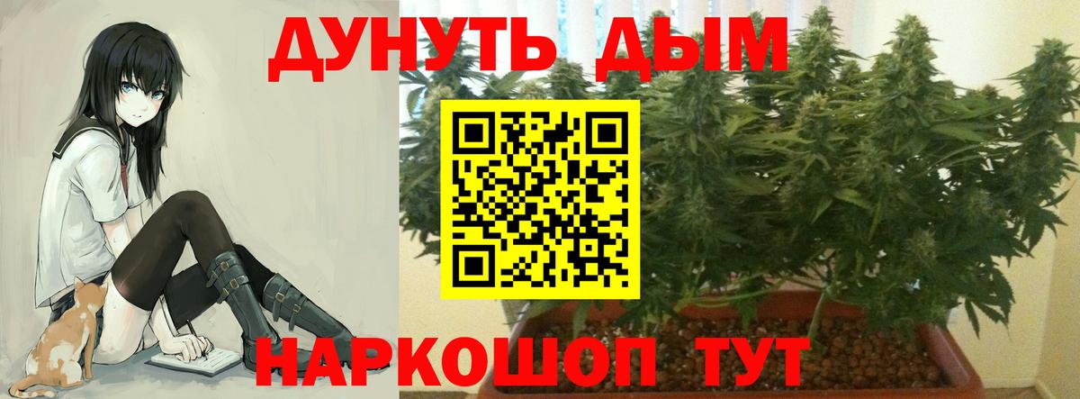 Каннабис конопля Ленинск-Кузнецкий